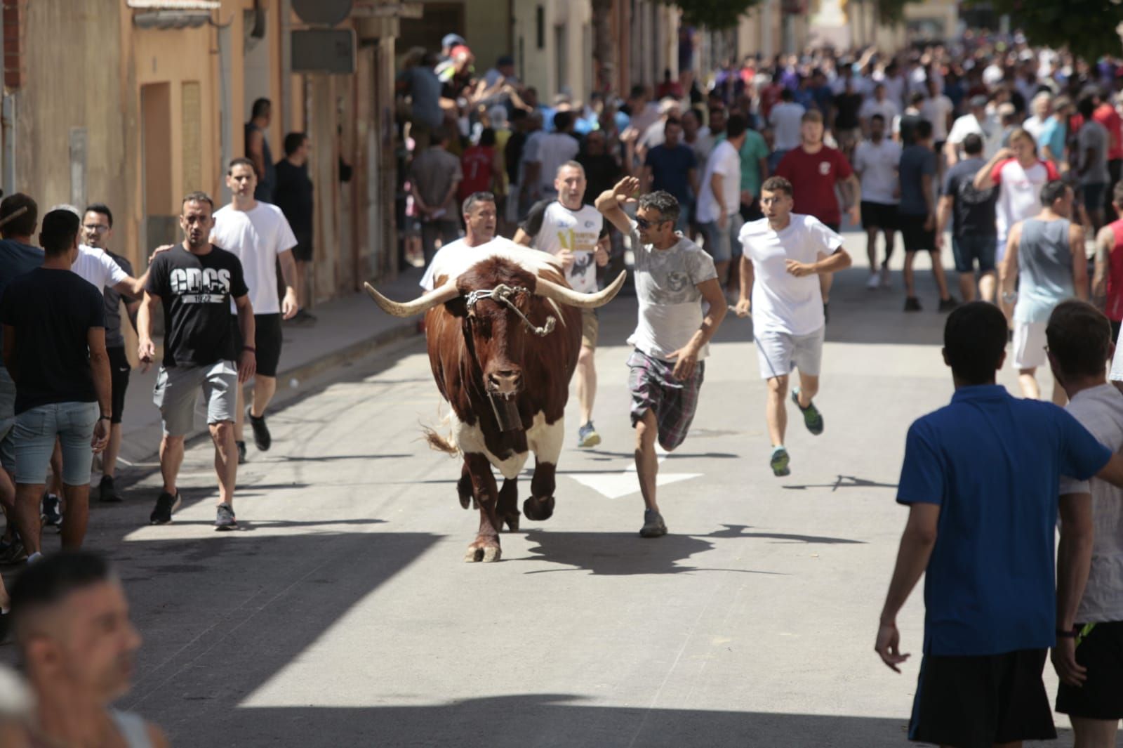 Las mejores fotos del encierro de este sábado en el Grau de Castelló por las fiestas de Sant Pere