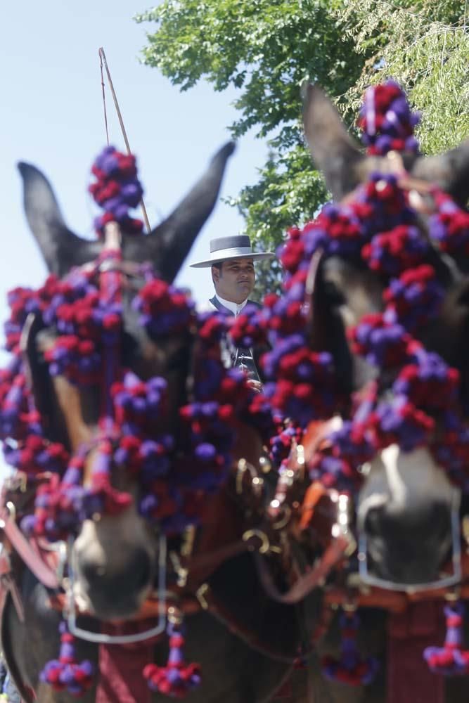 Exhibición de carruajes de tradición en El Arenal