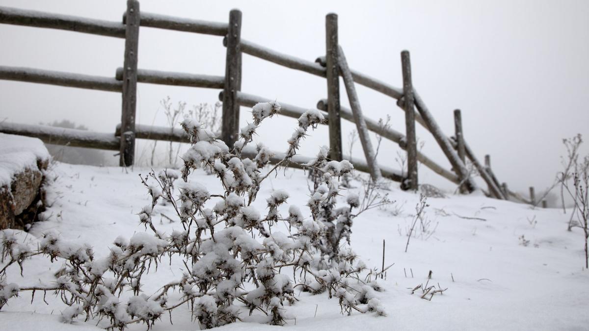 Archivo. La nieve obliga a cortar varias carreteras en Andalucía: estas son las vías afectadas