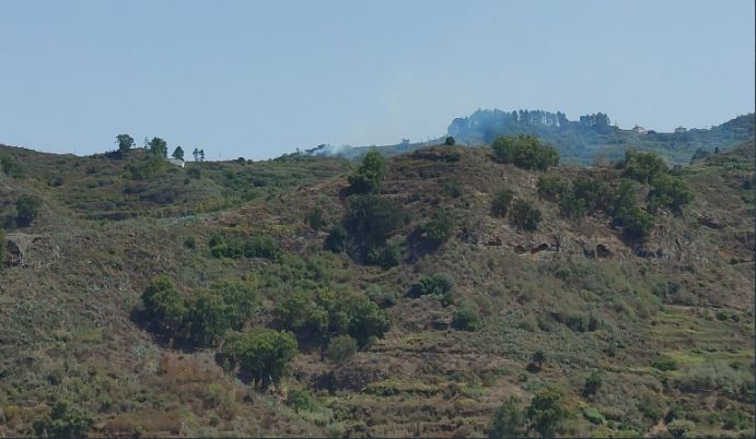 Conato de incendio en Lo Blanco, en Teror (17/08/2021)