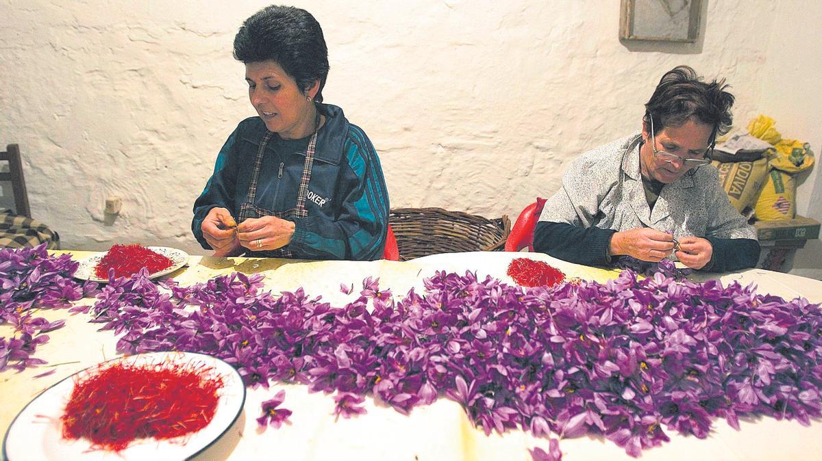 La auténtica ‘rosa del azafrán’, título de una zarzuela del maestro Guerrero.