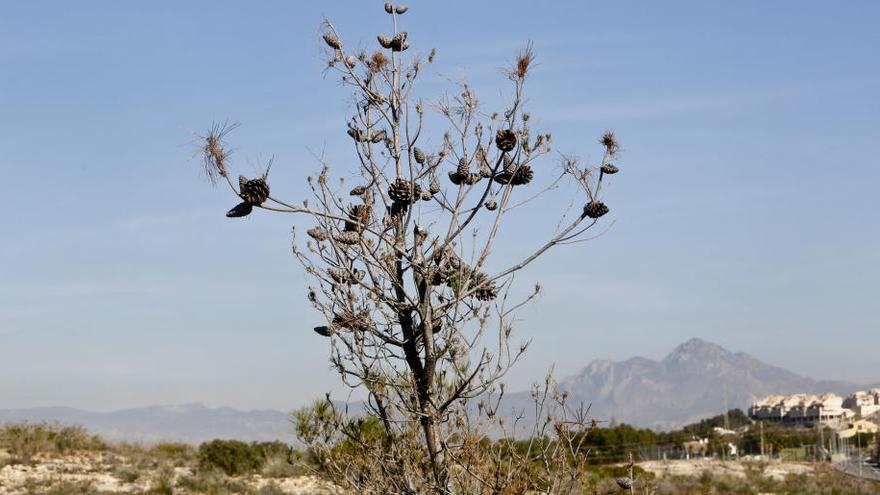 La Comunidad Valenciana despide el verano más seco de los últimos diez años