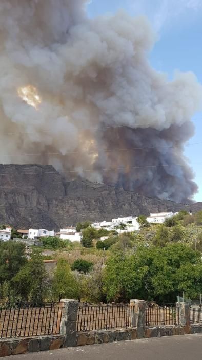 Otro incendio forestal en Gran Canaria