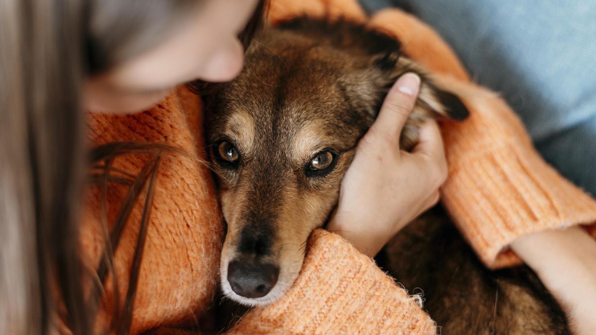 Aquesta adhesió forma part de les accions per assolir el nivell de municipi &#039;Pet Friendly &#039;