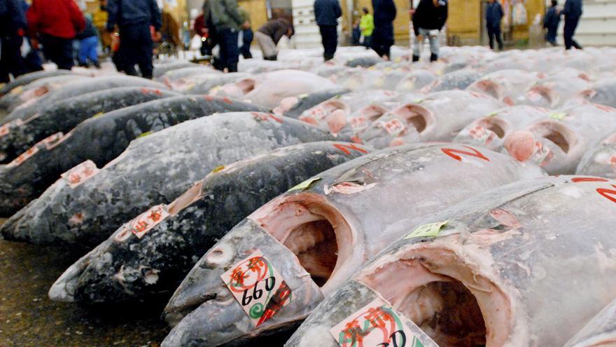 Dos intoxicados en Teruel tras comer unas hamburguesas de atún
