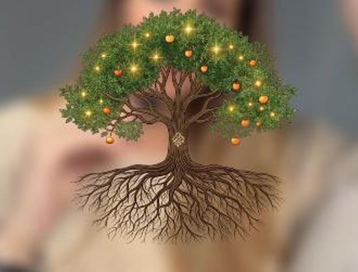 La teoria de l'arbre de Marta Parella