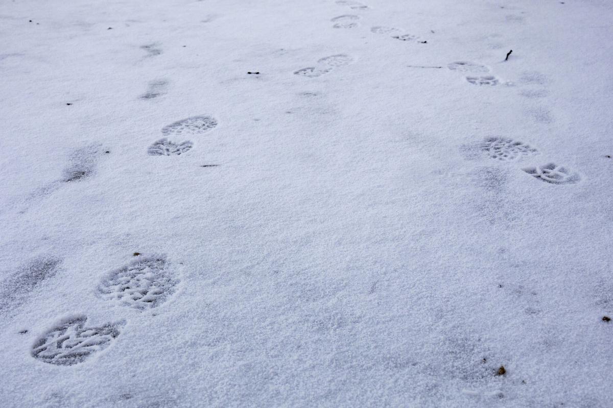 Pisadas en suelo nevado, a 18 de enero de 2023, en la Sierra de Guadarrama, Madrid (España).