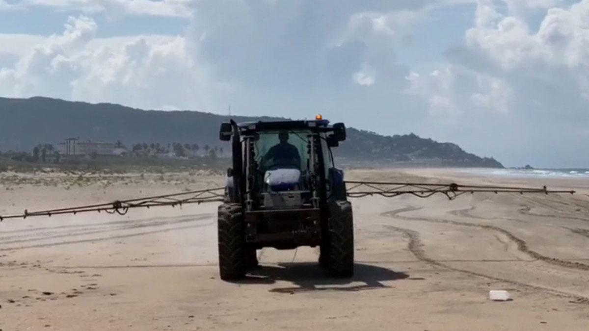 Los ecologistas denuncian la fumigación con lejía de la playa de Zahara de los Atunes