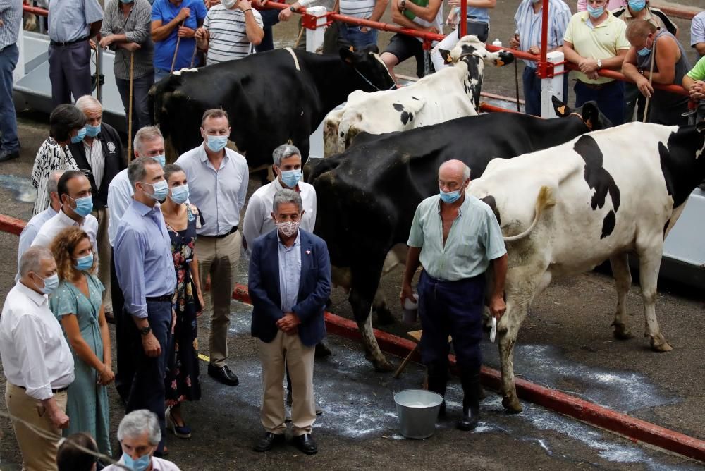 Los reyes, entre vacas y pastores para apoyar a la ganadería en Cantabria