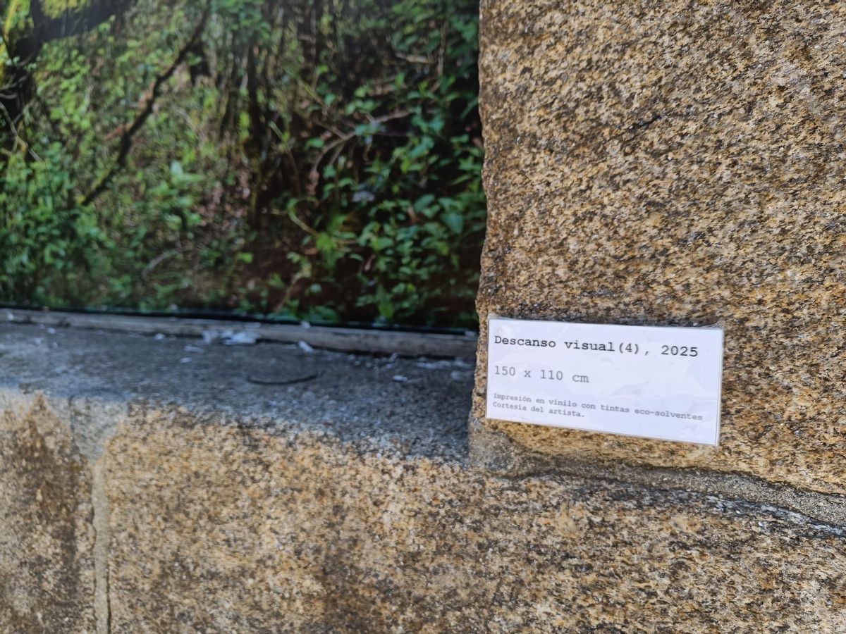 'Descanso visual': un artista compostelano convierte escaparates vacíos de San Pedro en ventanas a la naturaleza