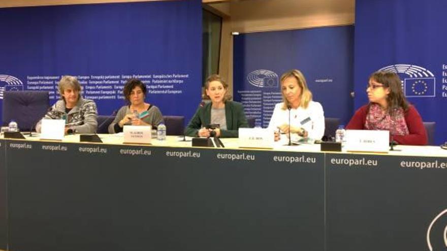 Eurodiputados aconsejan a  la plataforma &#039;No a la MAT&#039; a unirse con colectivos de Europa