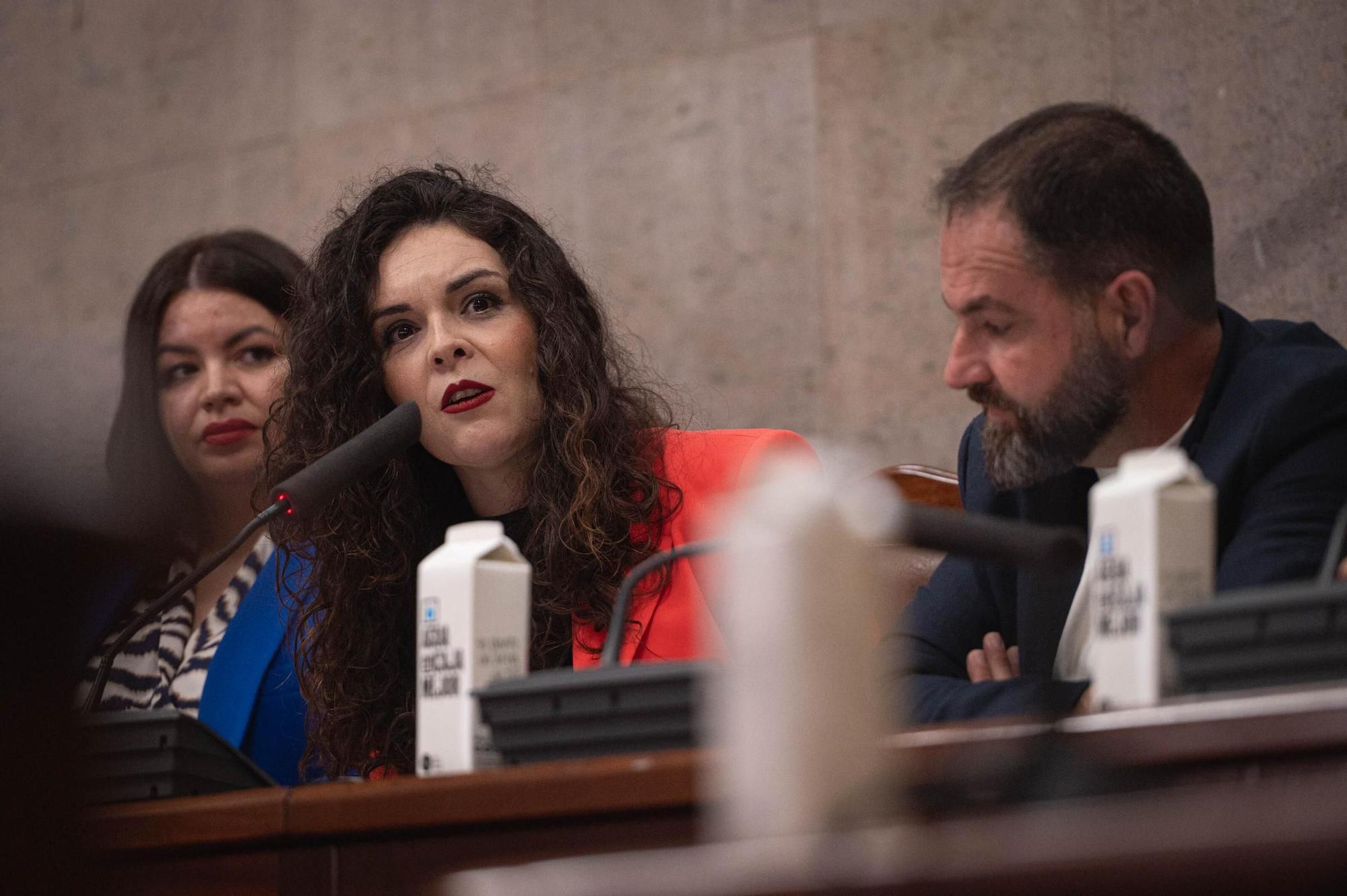 Moción de censura en Granadilla de Abona