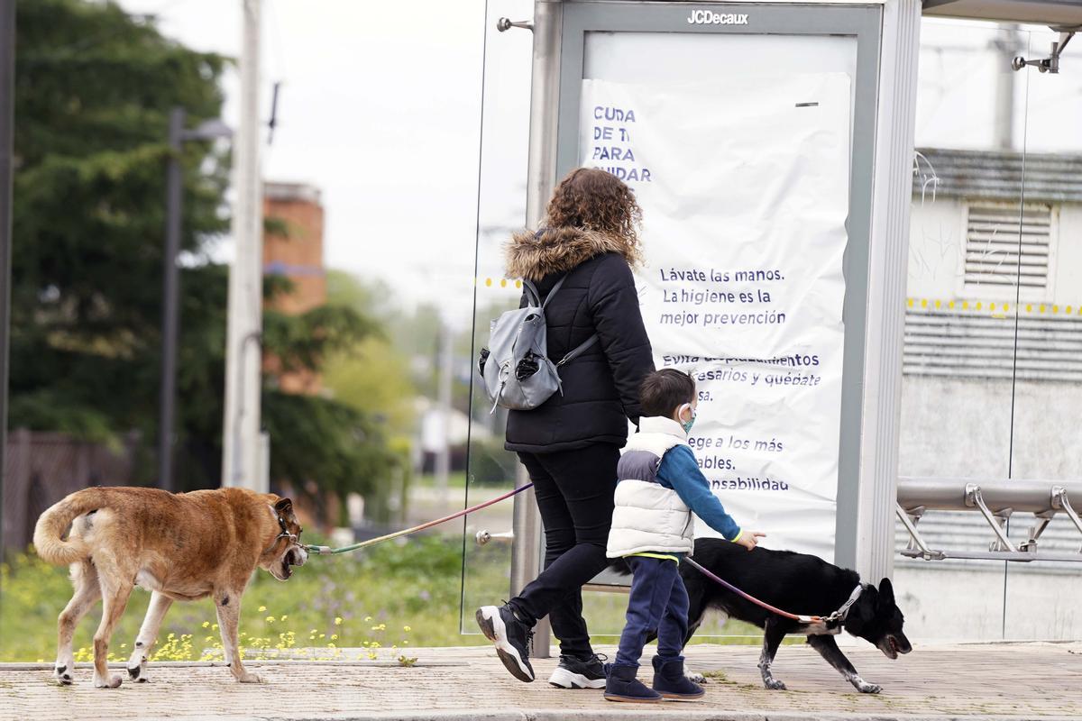 Les custòdies compartides creixen i ja s’atorguen gairebé en la meitat dels divorcis