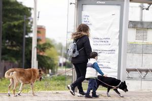 La custòdia compartida es dobla en l’última dècada a Espanya