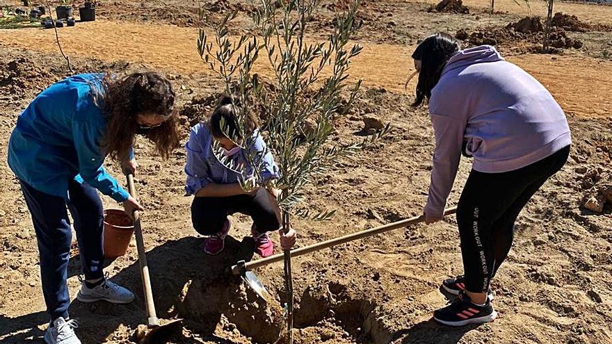 Jóvenes del grupo Gothorum plantan árboles en Malpique. | Cedida