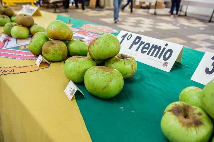 Fiesta de la manzana de Valleseco