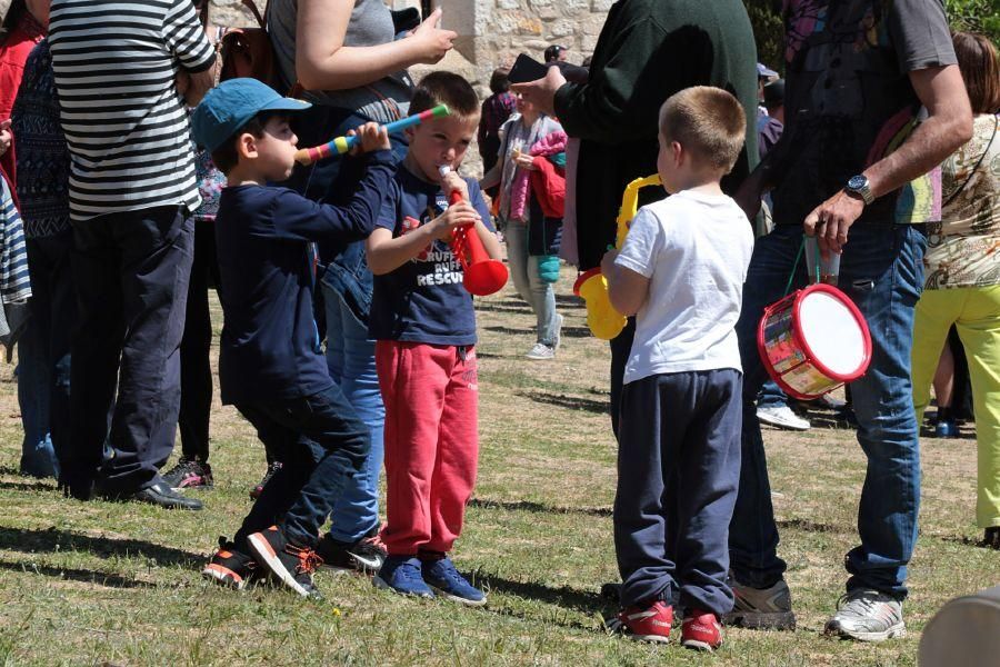 Romería de Valderrey en Zamora