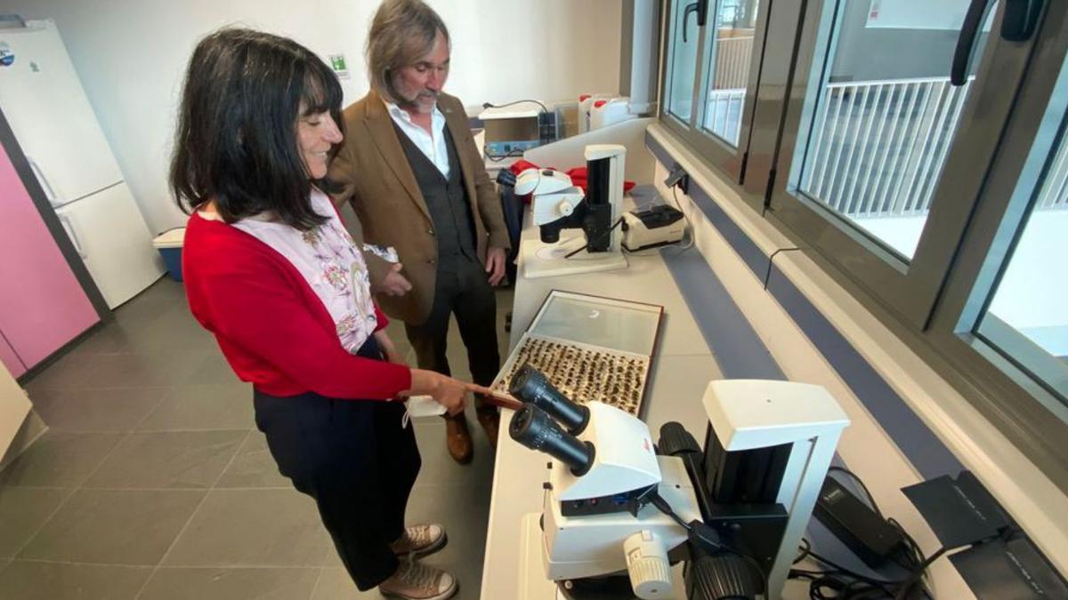 Paola Laiolo y José Ramón Obeso, del Instituto Mixto de Investigación en Biodiversidad (IMIB), en un laboratorio. | Vivas 