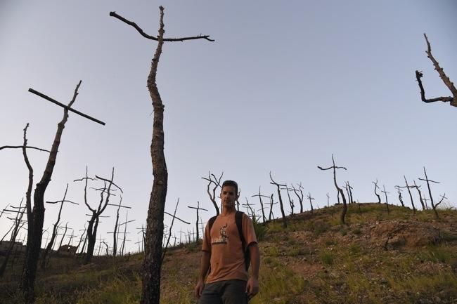 El bosc de les creus d'Òdena