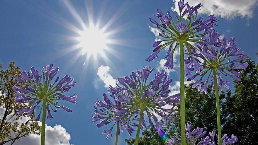 Don Benito alcanza esta madrugada la tercera temperatura más alta del país, con 27,4 grados