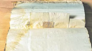 Descubrimiento histórico en Elda