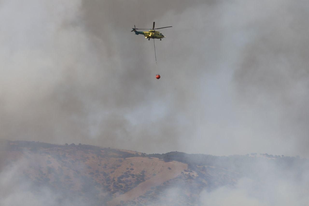 Incendio forestal en Cerro Muriano