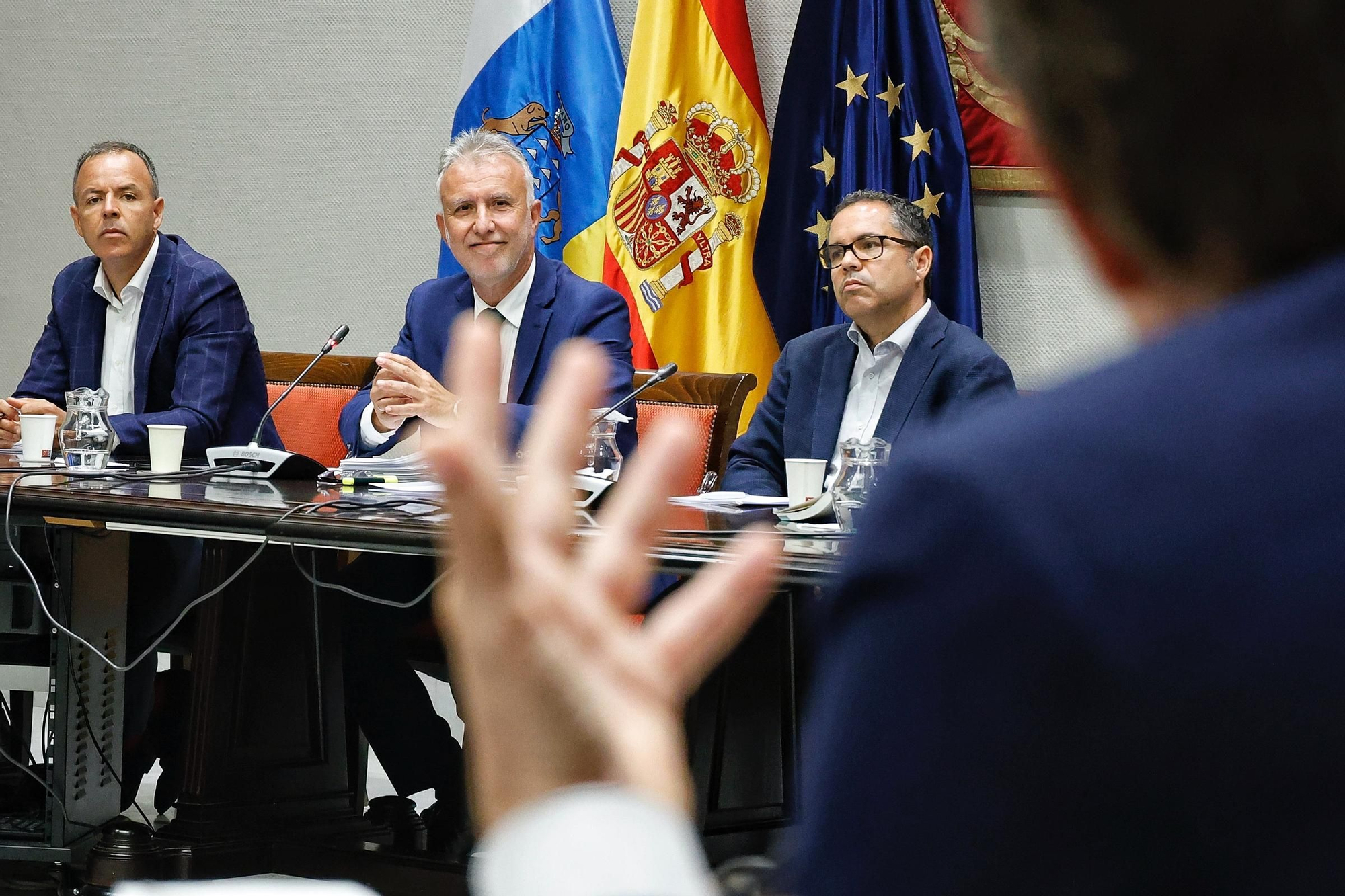 Comparecencia de Ángel Víctor Torres en el Parlamento de Canarias