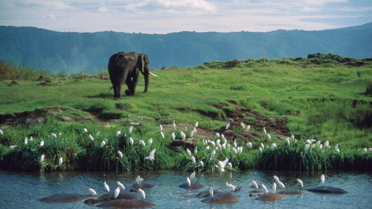 Ngorongoro, el volcán del edén