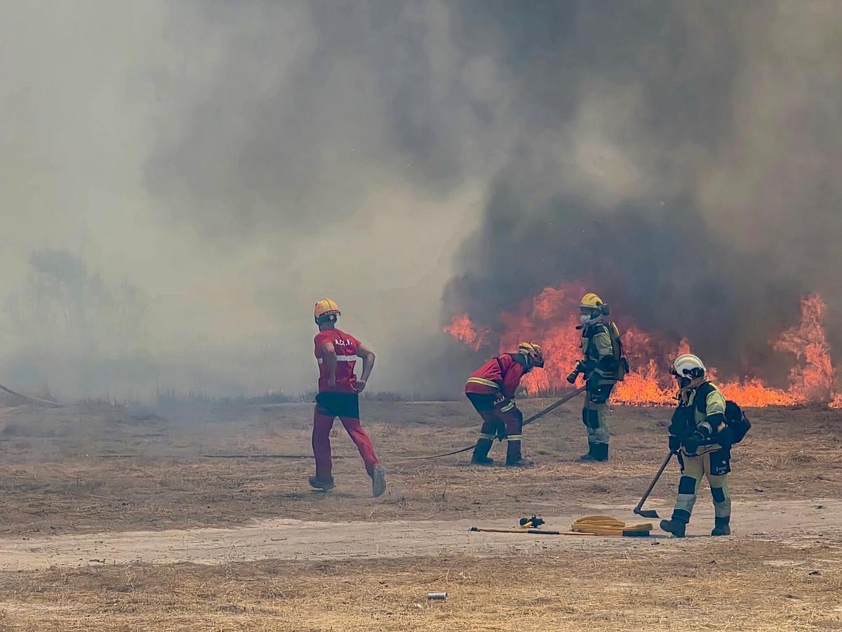 Las imágenes del incendio declarado en el cauce del río Vinalopó en pleno casco urbano de Sax Las imágenes del incendio declarado en el cauce del río Vinalopó en pleno casco urbano de Sax