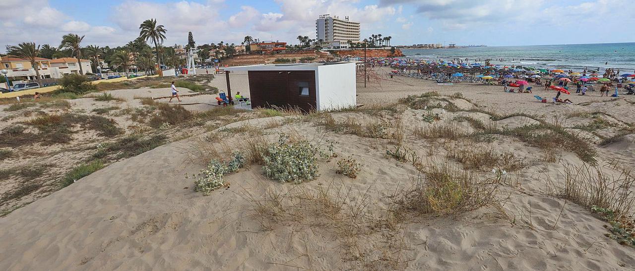 Duna en la playa de Cala Bosque con algunas especies invasoras y la caseta de socorrismo sobre la misma, que se tendrá que quitar de allí.  | TONY SEVILLA