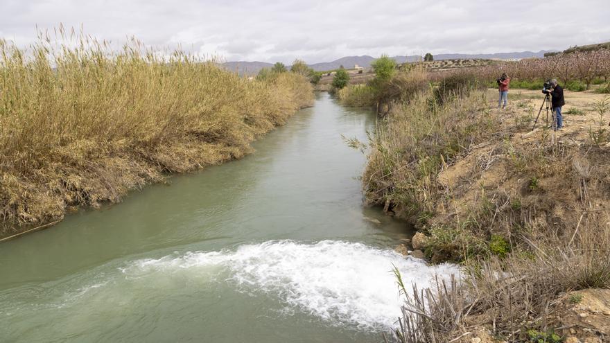 La &quot;sequía extraordinaria&quot; en la cuenca del Segura se mantiene hasta mayo