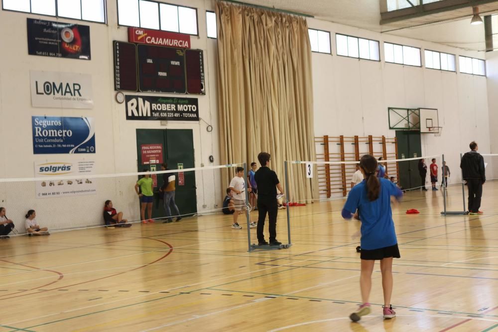 Final Regional de bádminton de Deporte Escolar