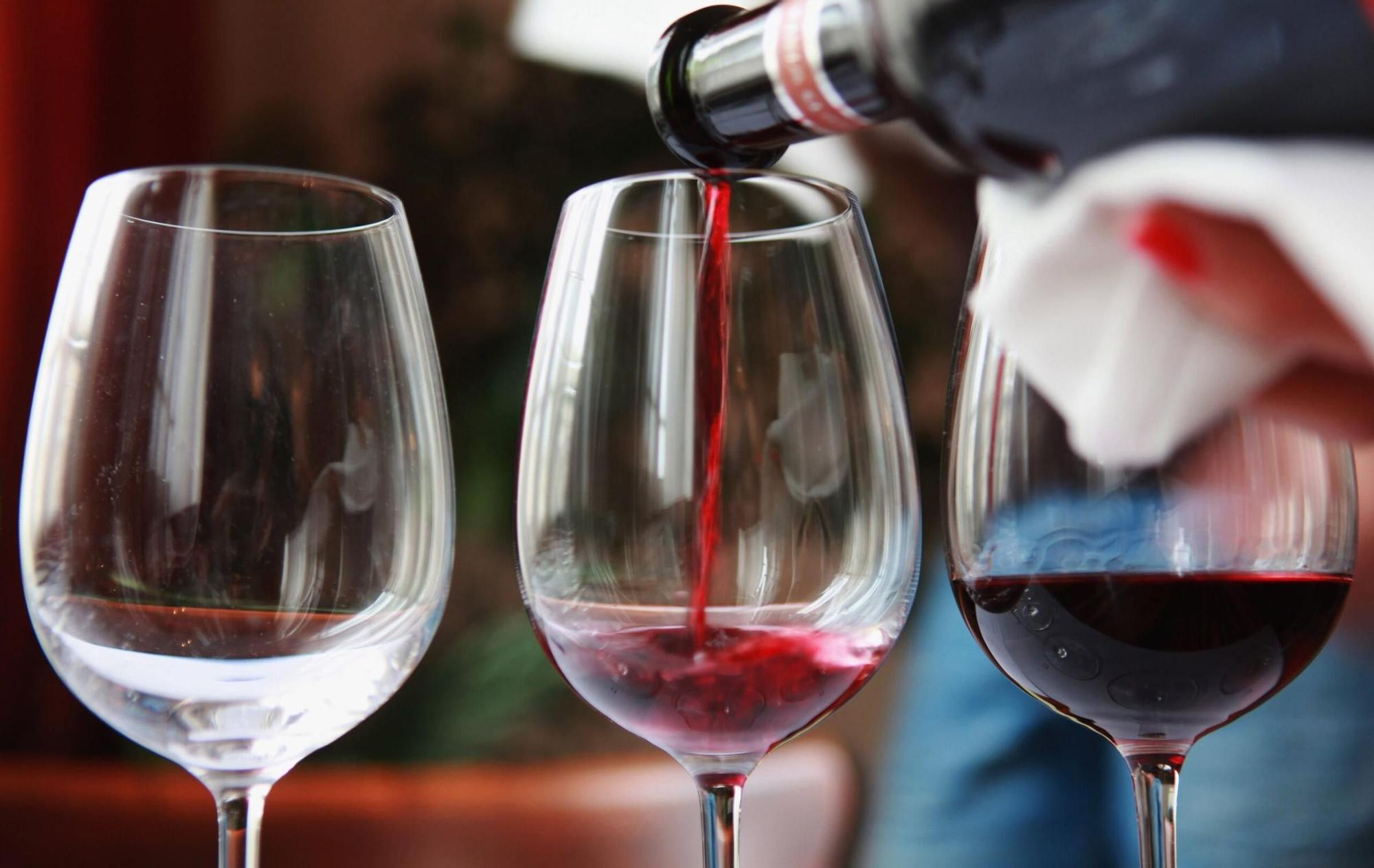 Tast de diferents vins