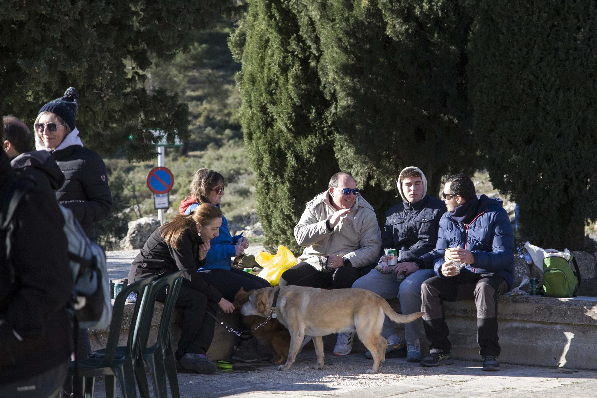 Alcoy vuelve a celebrar la Romería de Sant Antoni