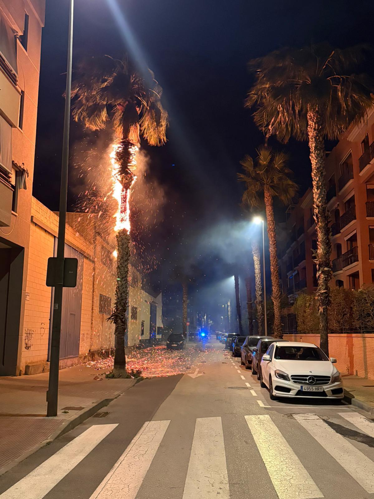 El fuego devora la palmera y provoca una lluvia de chispas