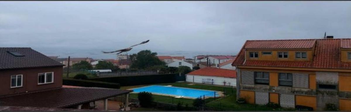 La urbanización está a 250 metros de la playa de Palmeira.