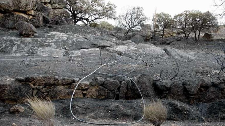 Superficie quemada en el entorno de los Arribes.