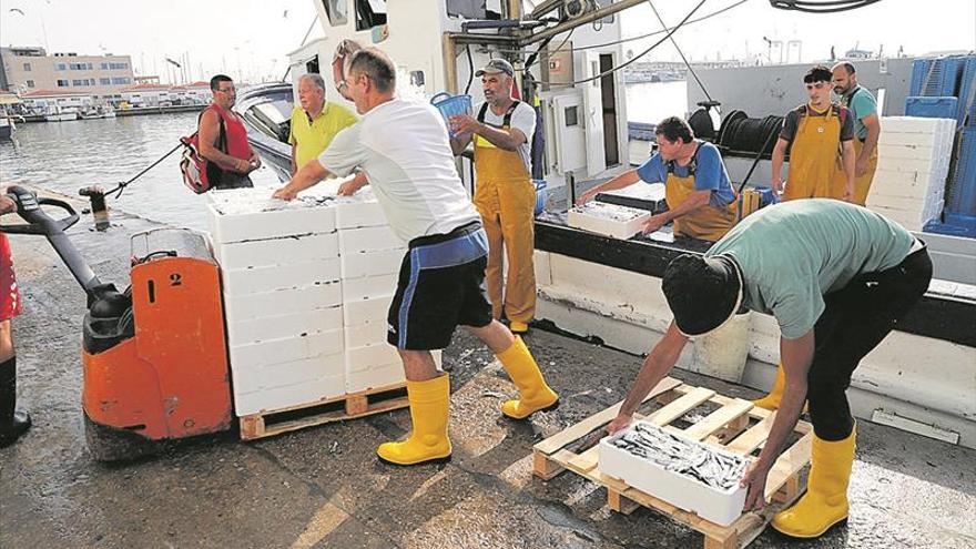La renovación de los fondos dispara la pesca en Castellón
