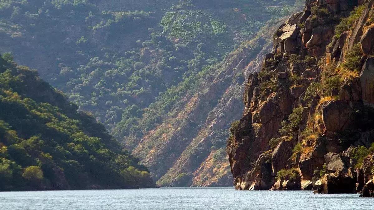 El pueblo donde mejor se come de Galicia: un tesoro "infravalorado" en plena Ribeira Sacra