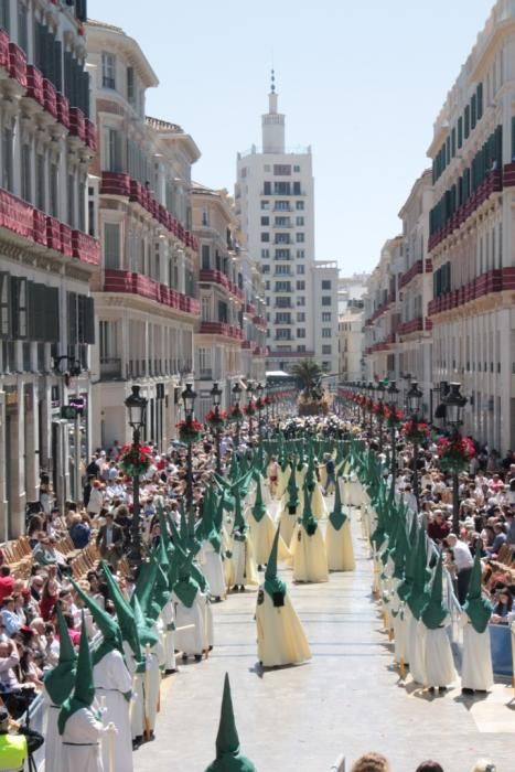 La cofradía de la Pollinica en la plaza de la Constitución.