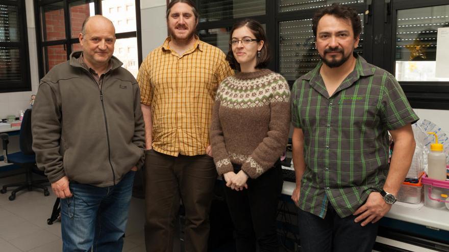 LOS INVESTIGADORES | De izquierda a derecha, José Luis Acuña, Juan Höfer, Sonia Romero y Axayacatl Molina-Ramírez