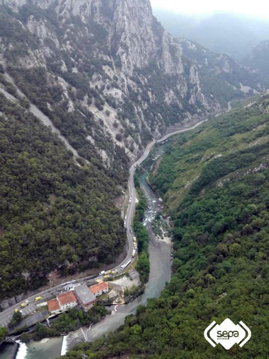 Accidente de un camión en Peñamellera