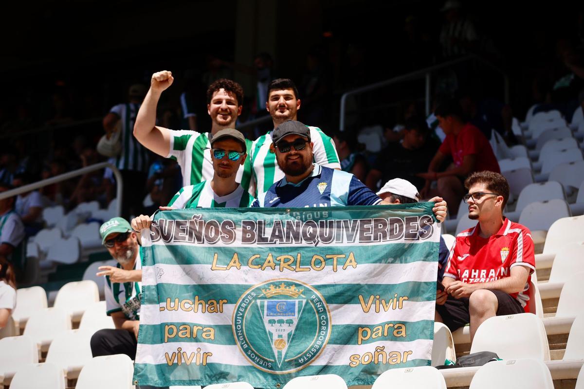 Córdoba CF-Sporting de Gijón | Las imágenes de la afición en El Arcángel