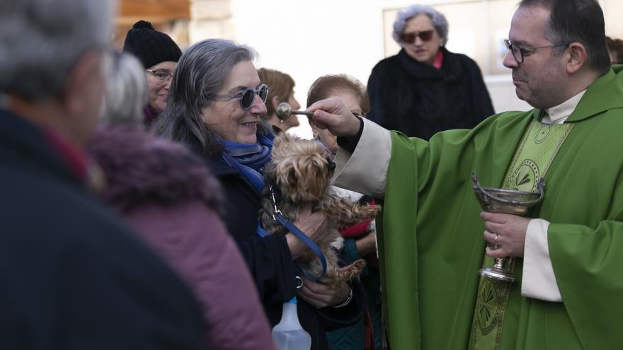 Los perros se ganan el cielo en Avilés: &quot;Los animales también son criaturas de Dios&quot;