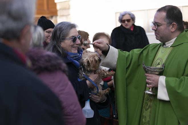 El día de San Antón en la comarca de Avilés