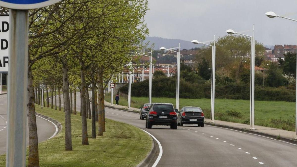 Tráfico en la avenida de La Pecuaria.