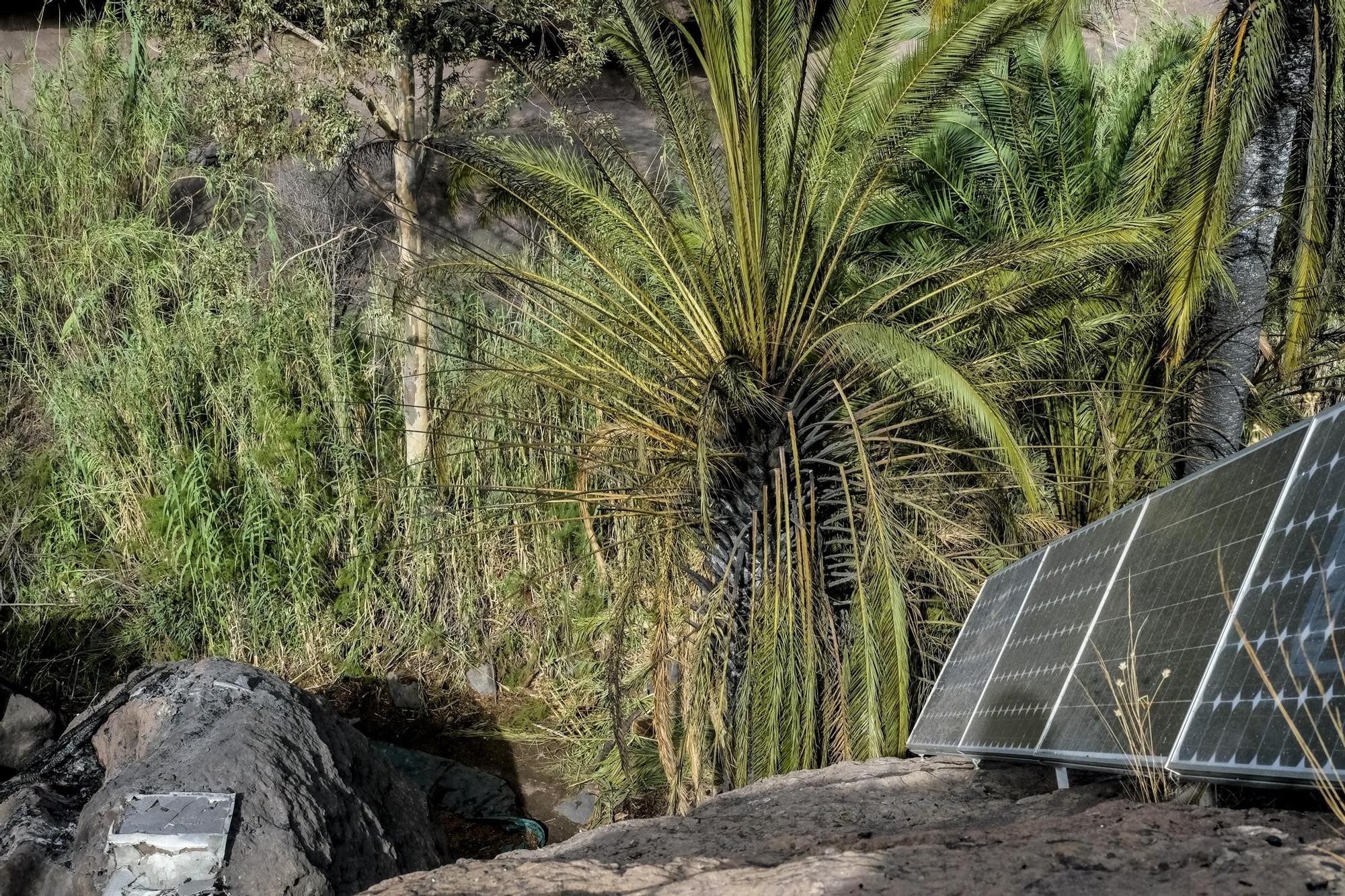 Incendio en Santa Lucía
