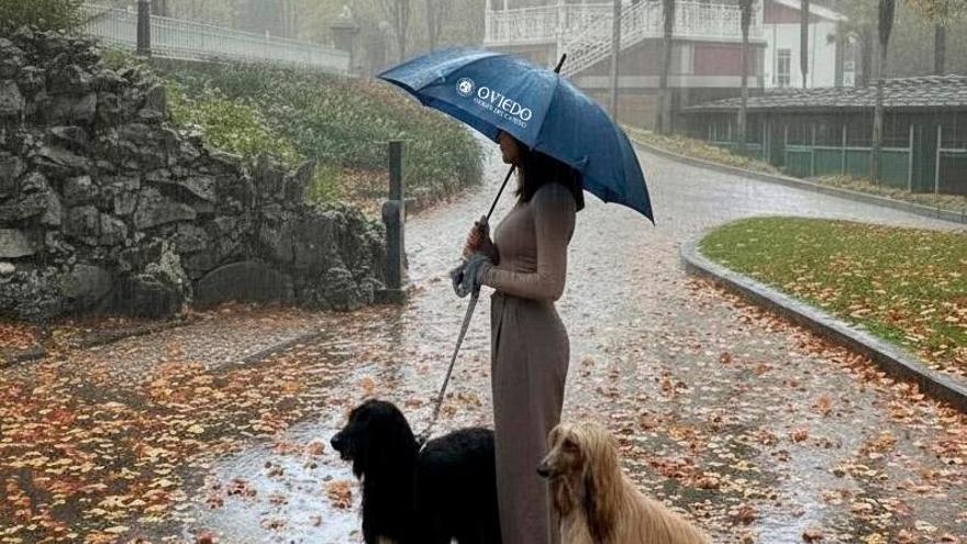 Paraguas Oviedo, Origen del Camino