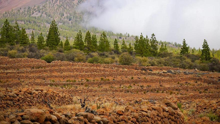 Los Frontones: el alma de Piedra Fluida