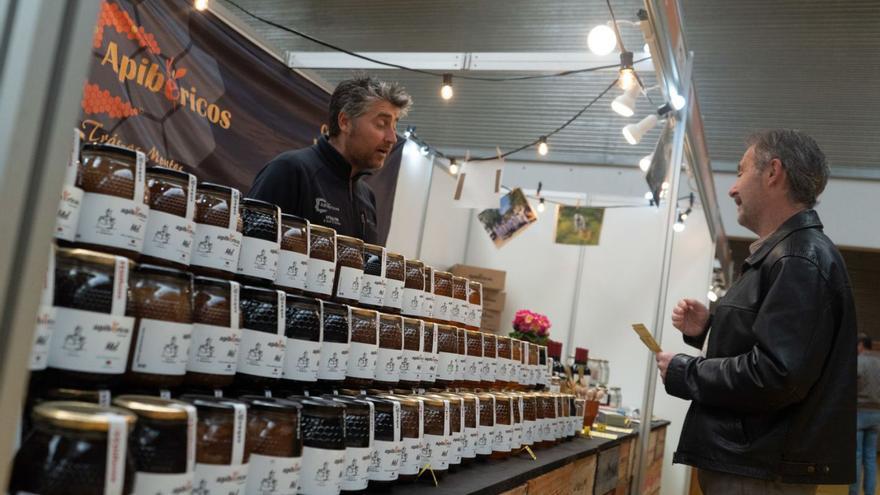 Tarros de miel en uno de los puestos de la IV Feria Internacional Meliza de Zamora.